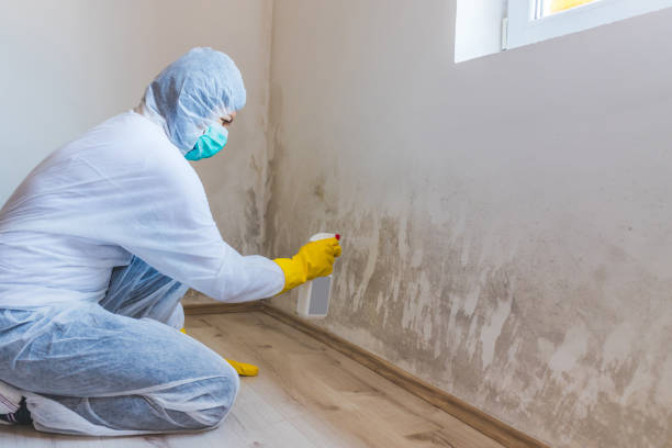 Bathroom Mold Removal assessment in Westphalia bathroom