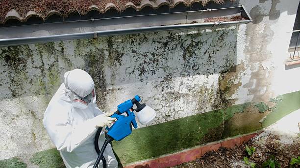 Clearance testing in Westphalia
